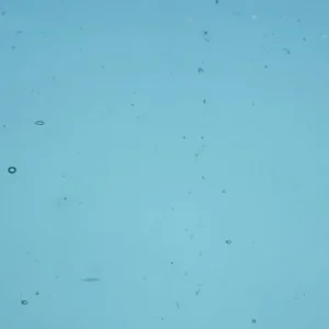 WISSMACH - STEEL BLUE TRANSPARENT Fusible COE 96