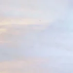 WISSMACH - PRISM GLASS - GREY/WHITE