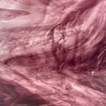 WISSMACH - PURPLE/CLEAR WISPY