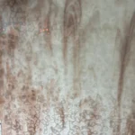 UROBOROS - PASTEL PINK & WHITE