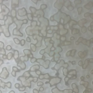 UROBOROS - HONEY-AMBER RING MOTTLE (OGT)