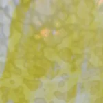 UROBOROS - LEMON YELLOW & GOLDEN YELLOW