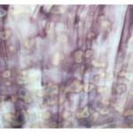 UROBOROS - GOLD-PURPLE AND WHITE,RING MOTTLE