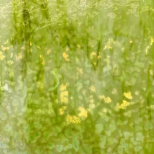 UROBOROS - LIGHT GREEN,WITH SPRING GREEN HIGHLIGHTS, RING MOTTLE