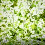 UROBOROS - SYSTEM 96 - GREEN FRACTURES