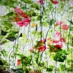 UROBOROS - CRYSTAL CLEAR,WITH LEAF GREEN AND GOLD-PINK FRACTURES AND GREEN STREAMERS