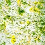 UROBOROS - CRYSTAL CLEAR,WITH LEAF GREEN AND YELLOW FRACTURES AND GREEN STREAMERS