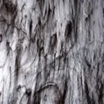 Uroboros - Black & Clear Streaky (OGT)