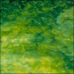 UROBOROS - EMERALD GREEN,SPRING GREEN & LIGHT GREEN MIX (OGT)