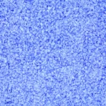 Uroboros - 96 Frit - Medium Hydrangea