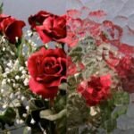 CLEAR TEXTURE - ARTRICO