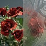 CLEAR TEXTURE - VALUE EVERGLADE