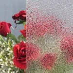 CLEAR TEXTURE - VALUE CONFETTI