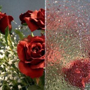 CLEAR TEXTURE - VALUE SPARKLE