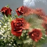 CLEAR TEXTURE - VALUE TAFFETA