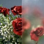 CLEAR TEXTURE - VALUE SCREEN