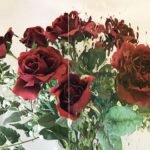 VALUE CLEAR RAINDROPS