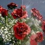 CLEAR TEXTURE - VALUE NOUVEAU REAMY