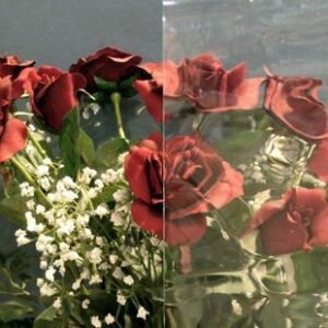 Clear Texture - VALUE Nouveau Flemish Pattern