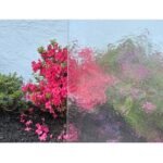 CLEAR TEXTURE - VALUE SAHARA