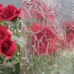 CLEAR TEXTURE - TEMPEST