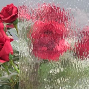 CLEAR TEXTURE - MINI HAMMERED