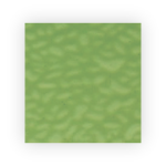 ENGLISH MUFFLE - SUSSEX GREEN (Medium Olive)