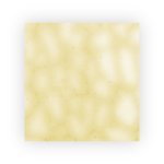 ENGLISH MUFFLE - REGENCY GOLD (34 Light Amber)