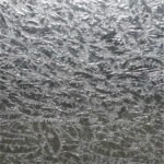 DOUBLE CHIP GLUE CHIP