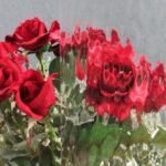 CLEAR TEXTURE - VALUE WAVE