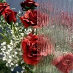 CLEAR TEXTURE - VALUE RAIN