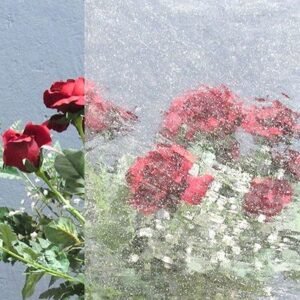 Designer Glass Clear Seedy