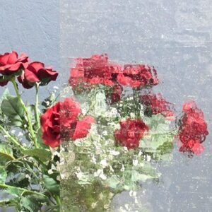 Designer Glass Soft Hammered Clear